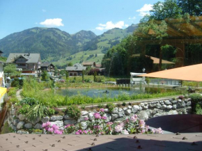 Vista Resort Hotel Zweisimmen